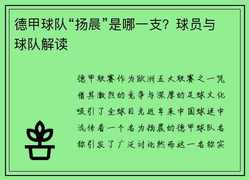德甲球队“扬晨”是哪一支？球员与球队解读